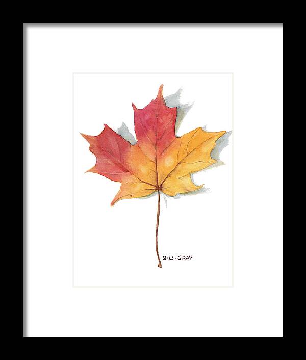 Maple Leaf Framed Print featuring the painting Maple Leaf by Betsy Gray