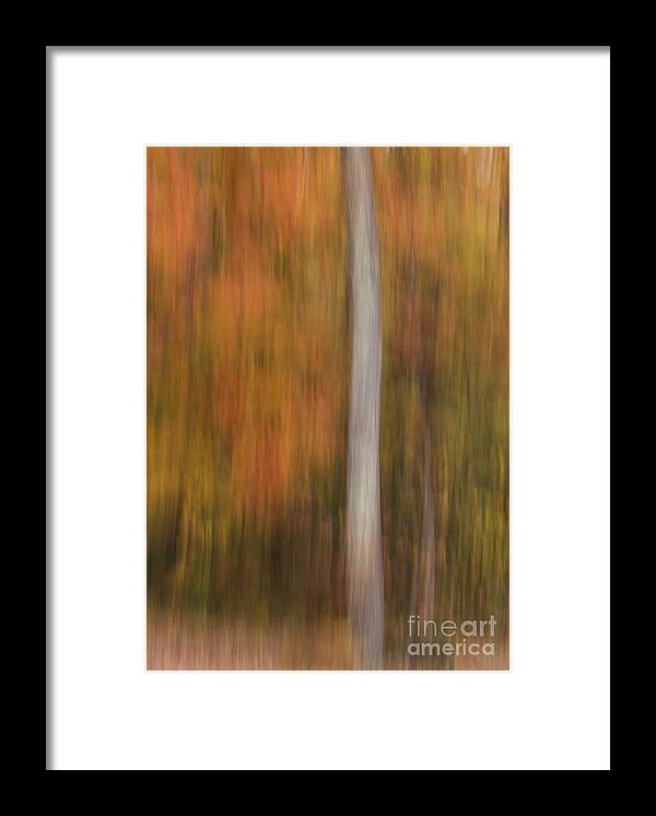 Abstract Framed Print featuring the photograph Maple by Lili Feinstein