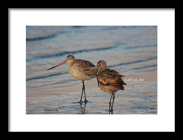  Framed Print featuring the photograph Marbled Gotwits say Let us be by Sherry Clark