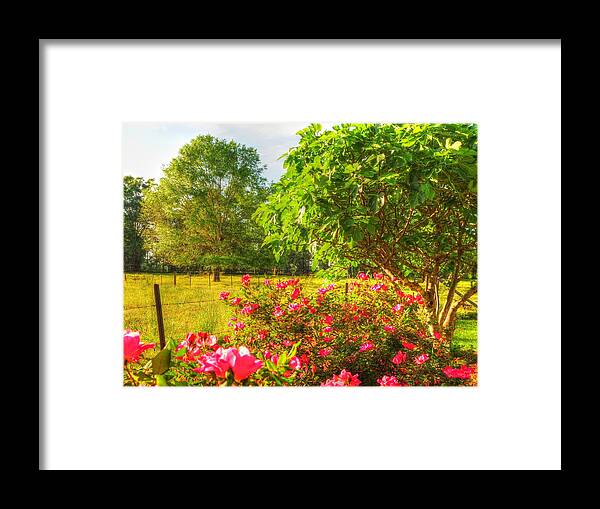 Roses Framed Print featuring the photograph Marie's Roses by Lanita Williams
