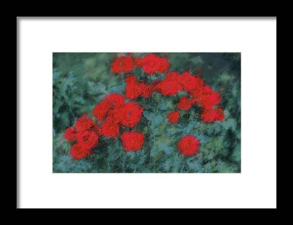 Most Beautiful Red Roses Framed Print featuring the photograph Marilyn's Red Roses by The Art Of Marilyn Ridoutt-Greene
