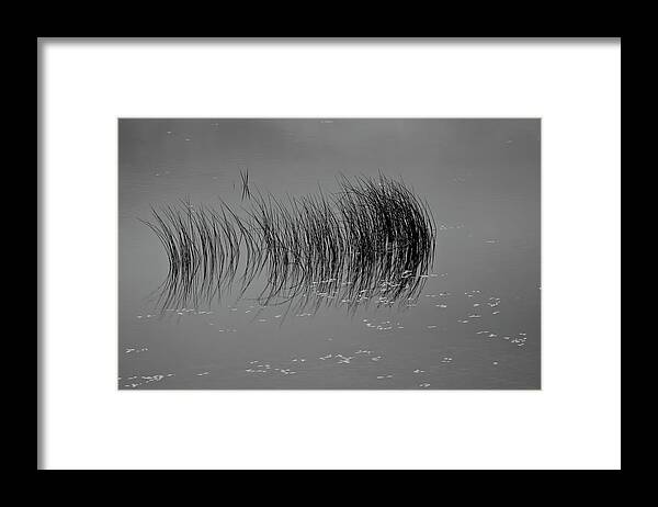 Outdoor Framed Print featuring the photograph Marsh Reflection by Albert Seger