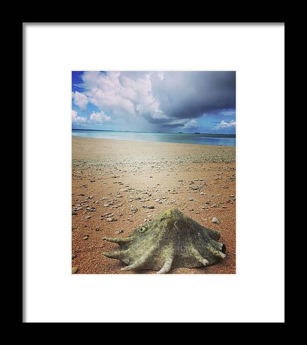 Marshall Island Framed Print featuring the photograph Marshall Islands by AnneMarie Welsh