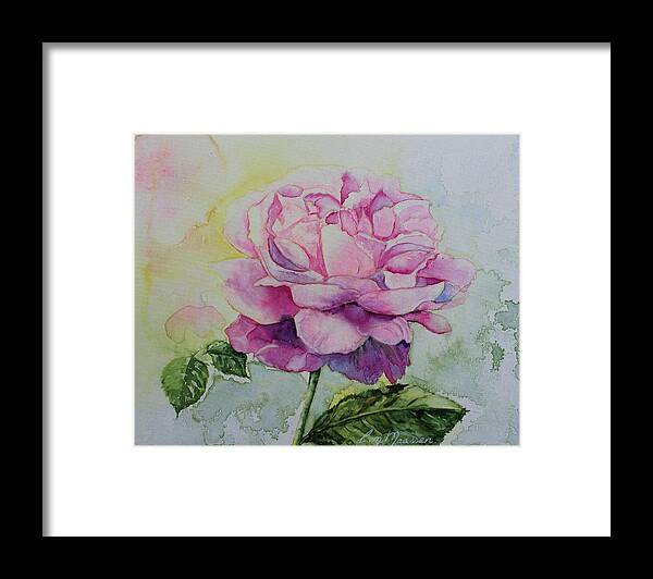Pink Rose Pretty Watercolour Flower Floral Garden  Framed Print featuring the painting Marys Rose by Christina Maassen