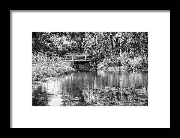 Seo Framed Print featuring the photograph Matthaei Botanical Gardens Black and White by Pat Cook
