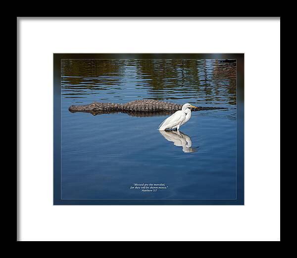 Beattitudes Framed Print featuring the photograph Matthew 5 7 by Dawn Currie