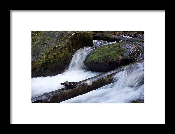 Mccord Log Motion Framed Print featuring the photograph McCord Log Motion by Dylan Punke