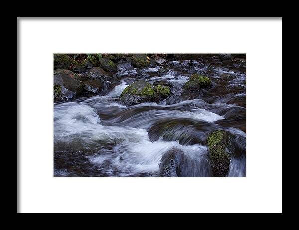 Accord Motion Framed Print featuring the photograph McCord Motion by Dylan Punke