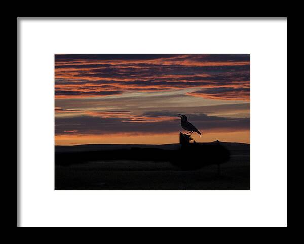 Benton Lake Nwr Framed Print featuring the photograph Meadow Lark's Salute to the Sunset by Ian Johnson