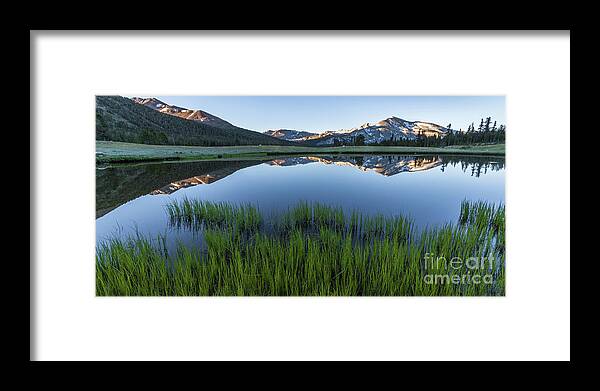 Grass Framed Print featuring the photograph Meadow Reflections by Brandon Bonafede