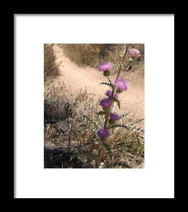 Desert Framed Print featuring the photograph Meaner Than They Look by Claudia Goodell