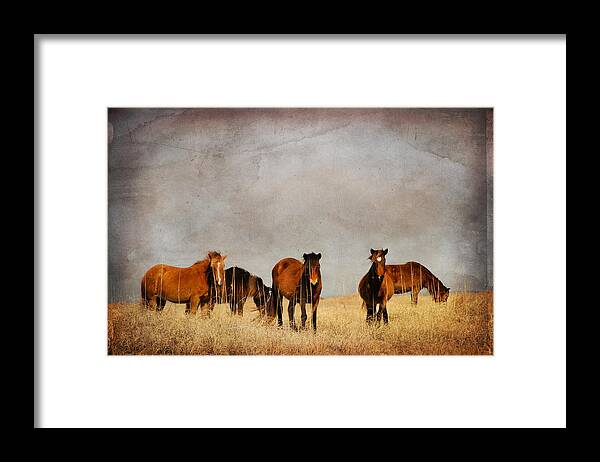 Farm Framed Print featuring the photograph Meeting by Joye Ardyn Durham