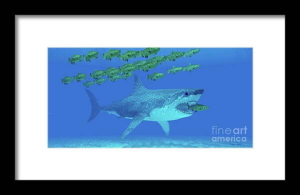 Megalodon Shark Framed Print featuring the digital art Megalodon Undersea by Corey Ford
