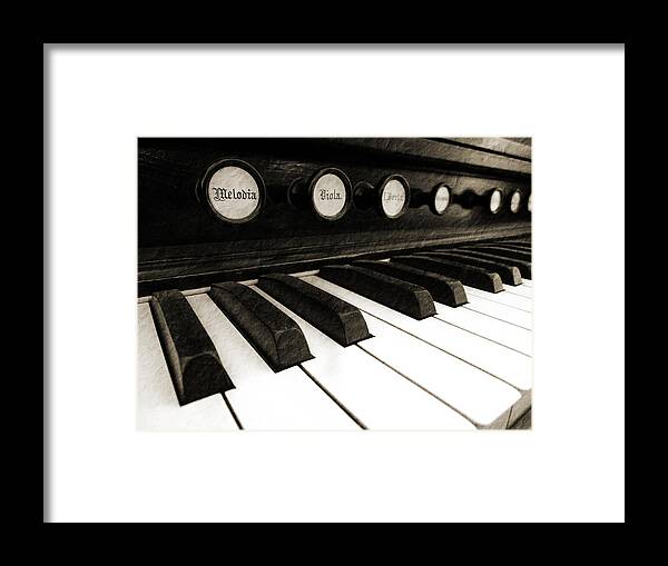 Music History Framed Print featuring the photograph Melodia by David T Wilkinson