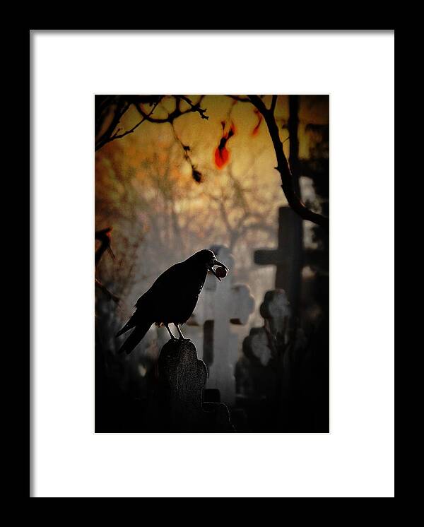 Raven Framed Print featuring the photograph Memento Mori by Cristian Andreescu