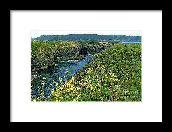 Mendocino Framed Print featuring the photograph Mendocino Headlands by Charlene Mitchell