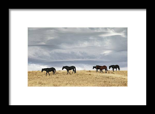 Horse Framed Print featuring the photograph Meringue Sky by Kent Keller