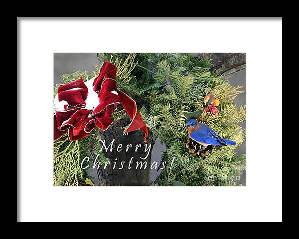 Nature Framed Print featuring the photograph Merry Christmas Wreath by Nava Thompson