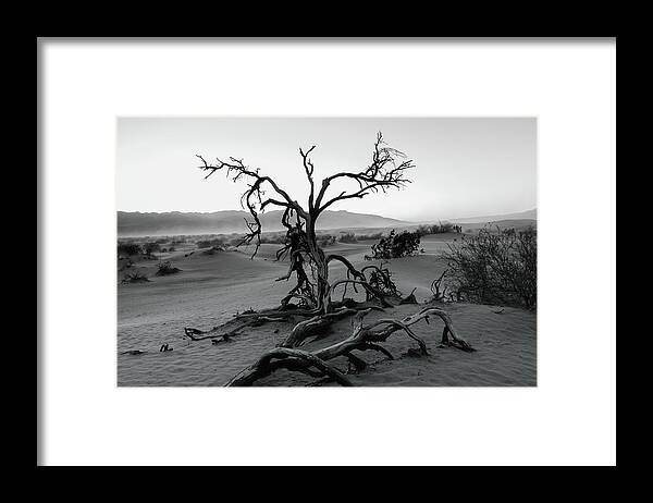 Mesquite Flat Sand Dunes Framed Print featuring the photograph Mesquite Flat Sand Dunes by Joe Kopp