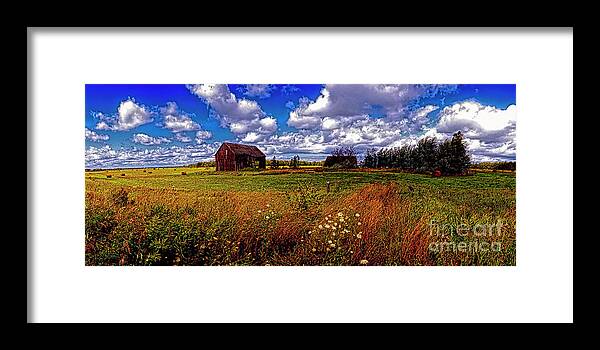 Michigan Framed Print featuring the photograph Michigan upper peninsula Queen Anns Lace Brimley by Tom Jelen