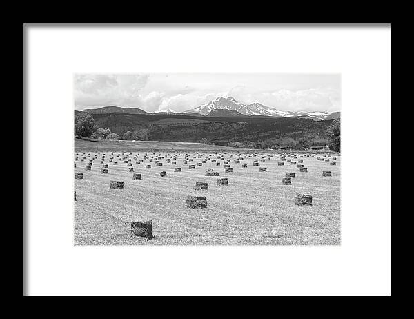 Country Framed Print featuring the photograph Mid June Colorado Hay and the Twin Peaks Longs and Meeker BW by James BO Insogna