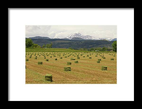 Country Framed Print featuring the photograph Mid June Colorado Hay and the Twin Peaks Longs and Meeker by James BO Insogna
