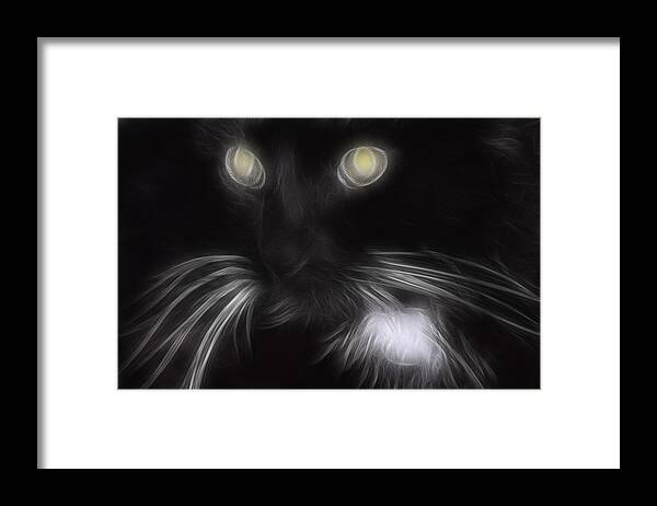 Animal Framed Print featuring the digital art Mikey by Holly Ethan