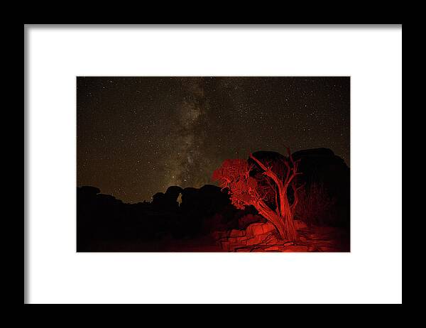 Canyonlands National Park Framed Print featuring the photograph Milky way and juniper by Kunal Mehra