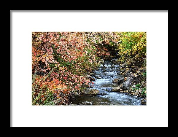 Autumn Framed Print featuring the photograph Millcreek in Fall by Brett Pelletier