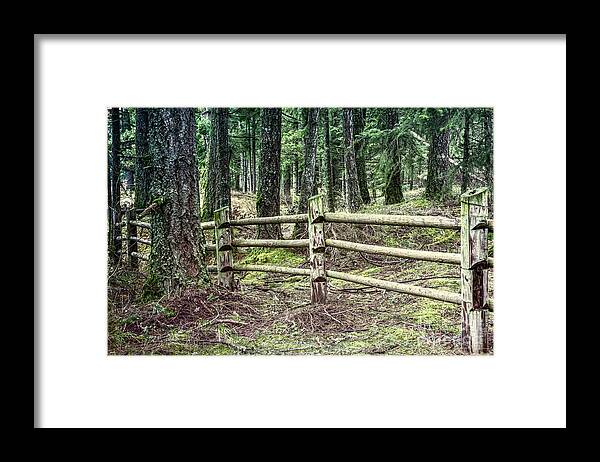 Forest Framed Print featuring the digital art Mima Mounds Forest Fence by Jean OKeeffe Macro Abundance Art