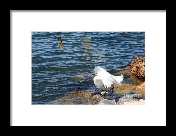 Photo For Sale Framed Print featuring the photograph Mine by Robert Wilder Jr