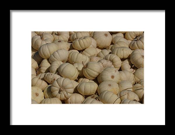 White Framed Print featuring the photograph Mini White Pumpkins by Jeff Floyd CA