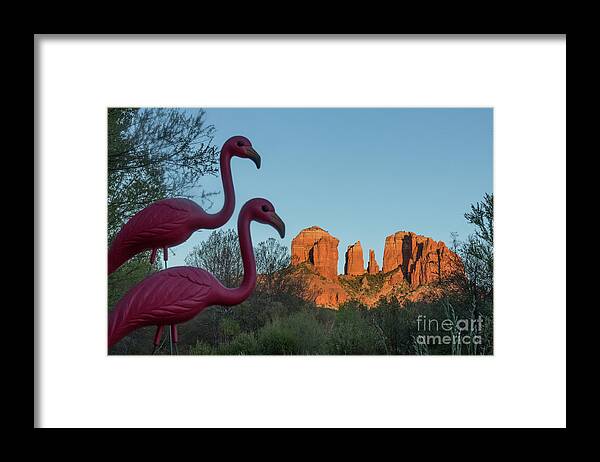 Cathedral Rock Framed Print featuring the photograph Missi and Sippi visiting Cathedral Rock by Garry McMichael