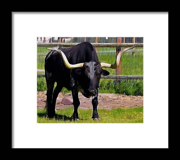 Bull Framed Print featuring the photograph Mission Longhorn La Purisima Detail by Floyd Snyder
