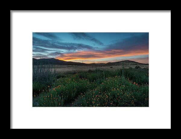San Diego Framed Print featuring the photograph Mission Trails Poppy Sunset by TM Schultze