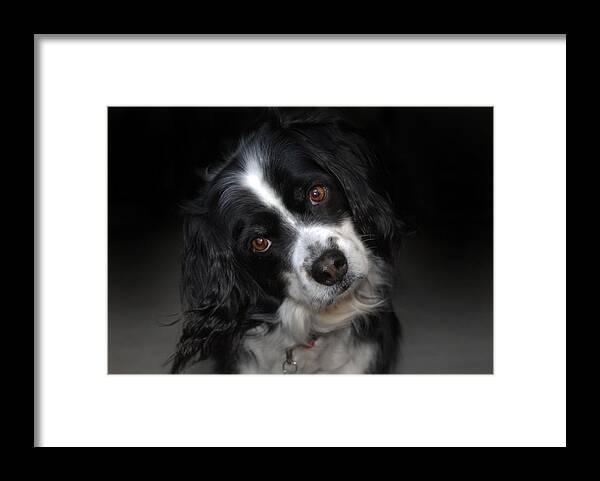 Missy Framed Print featuring the photograph Missy by Skip Willits