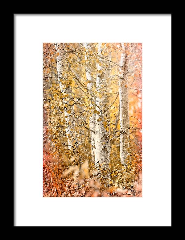 Country Framed Print featuring the photograph Misted by Beve Brown-Clark Photography