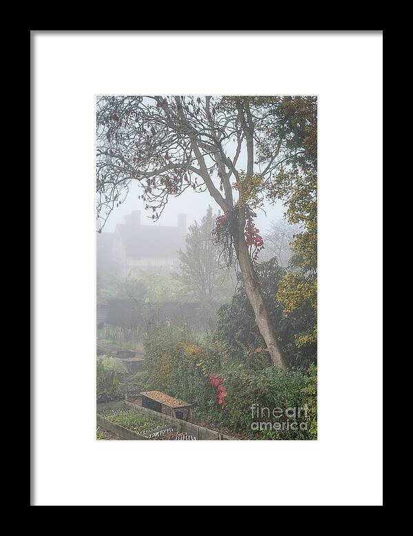 Plants Framed Print featuring the photograph Misty Garden, Great Dixter 2 by Perry Rodriguez