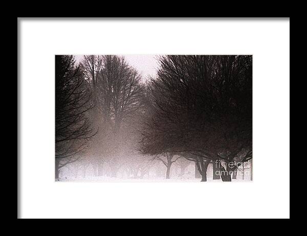 Tree Framed Print featuring the photograph Misty by Linda Shafer