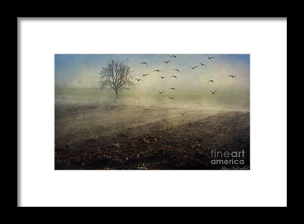 Winter Framed Print featuring the photograph Misty Meadows by Kira Bodensted