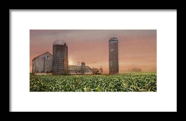 Farm Framed Print featuring the photograph Misty Morning Maize by Robin-Lee Vieira