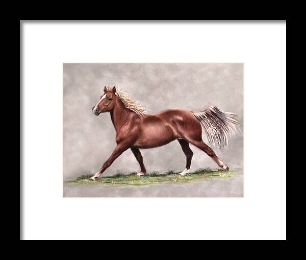 Animal Framed Print featuring the painting Misty by Sandra Huston