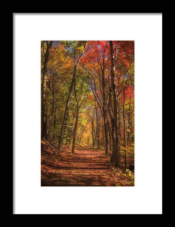 Mohawk State Forest Framed Print featuring the photograph Mohawk Forest Path by Kim Carpentier
