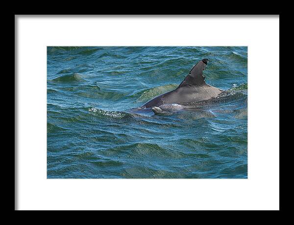Myrtle Beach Framed Print featuring the photograph Mom is Always There by Wild Fotos