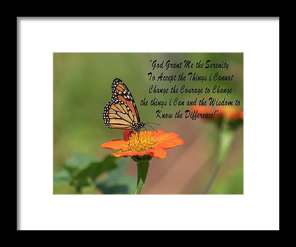 Monarch Butterfly Framed Print featuring the photograph Monarch 2018-14 with Inspiration by Thomas Young