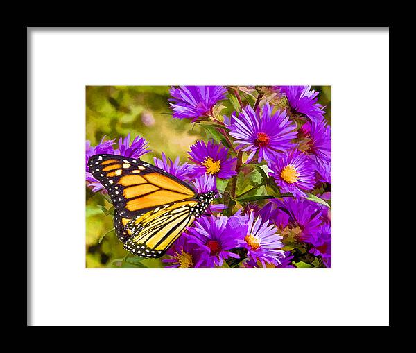 Butterfly Framed Print featuring the digital art Monarch on Mt. Washington by Ches Black