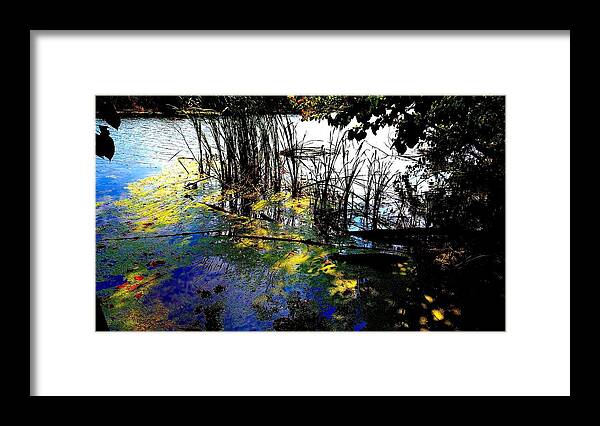 Painted Pond Framed Print featuring the photograph Monet Ice Age pond by Mykul Anjelo
