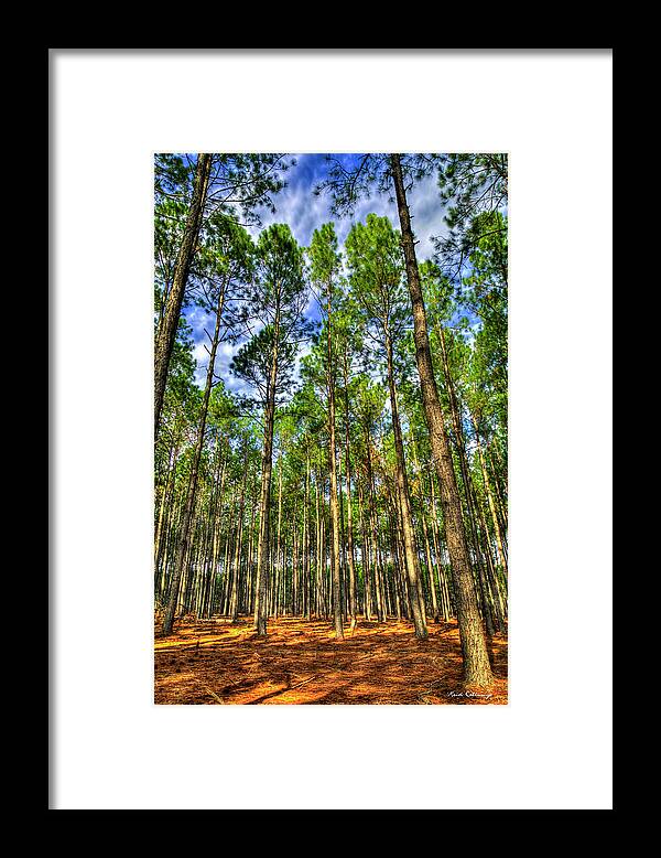 Reid Callaway Pine Tree Art Framed Print featuring the photograph Georgia Forestry Money Growing On Trees Georgia Pine Tree Forest Landscape Art by Reid Callaway