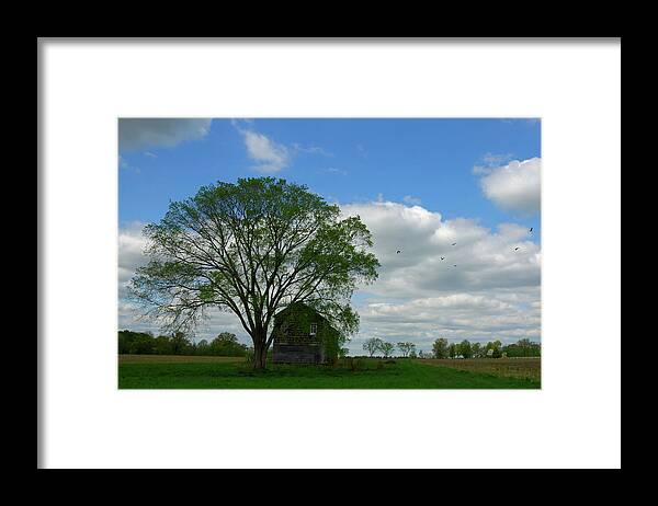 Monmouth Battlefield Framed Print featuring the photograph Monmouth Battlefield by Steven Richman