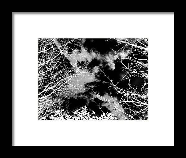 Abstract Landscape. Dark Botanical Framed Print featuring the photograph Monochrome winter sky and trees by Itsonlythemoon -